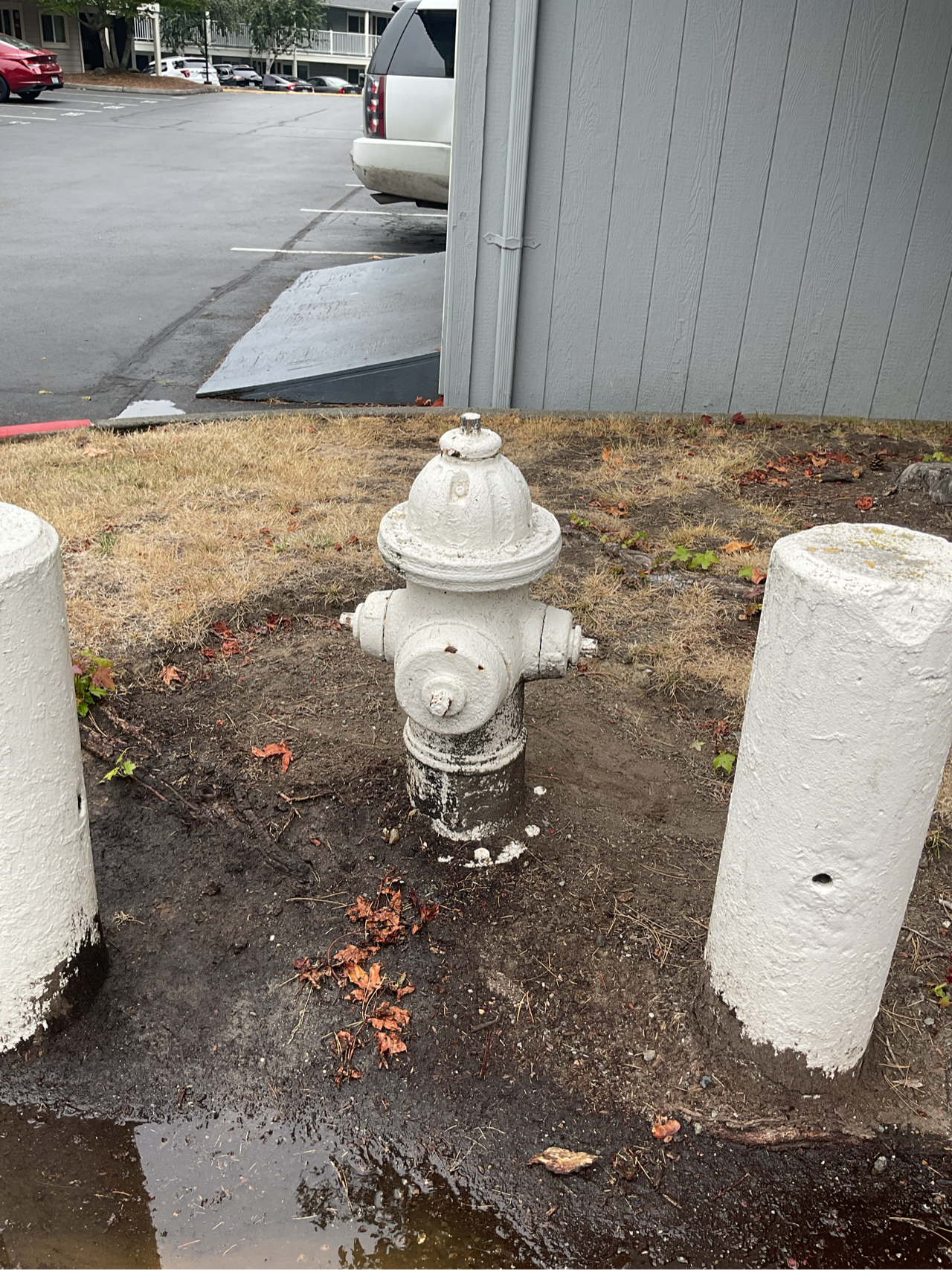 Hydrant mukeltio.jpeg